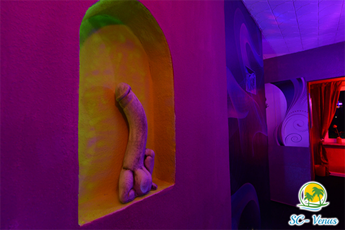 Swinger Club Venus