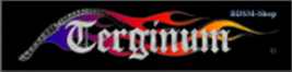 Terginum online BDSM