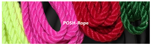 Bavarian Bondage BDSM