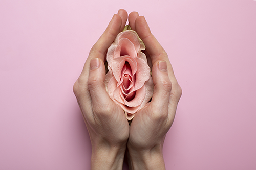 organo sessuale femminile